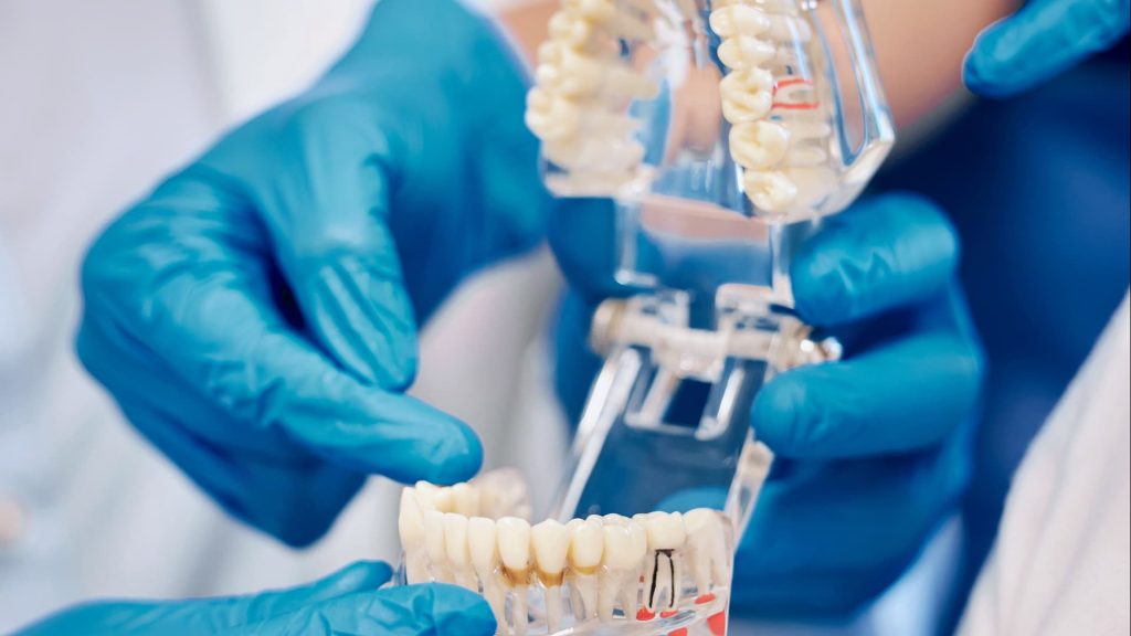 common dental procedures